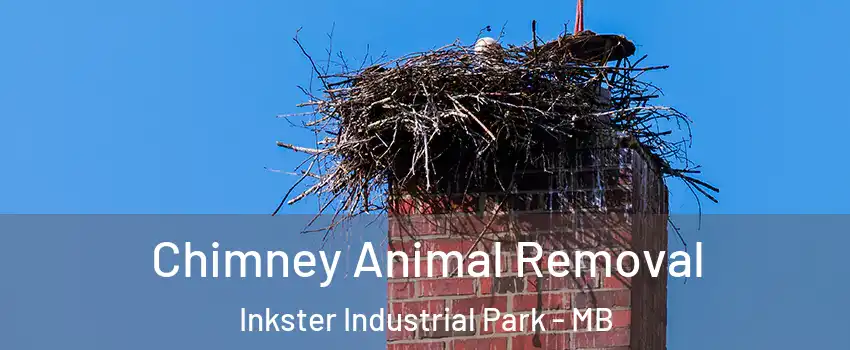 Chimney Animal Removal Inkster Industrial Park - MB