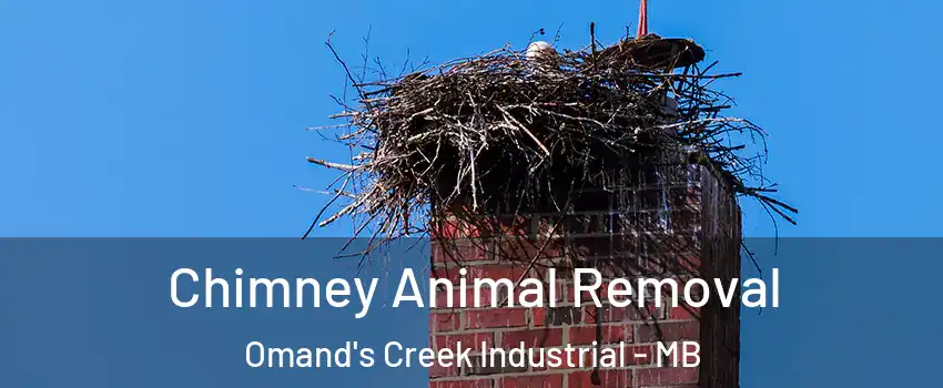 Chimney Animal Removal Omand's Creek Industrial - MB