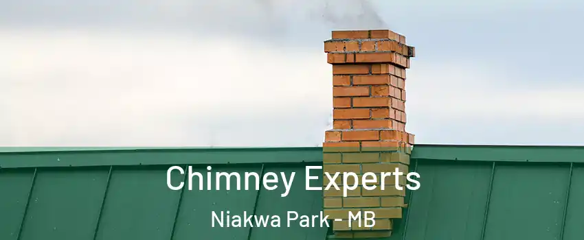 Chimney Experts Niakwa Park - MB