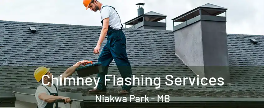 Chimney Flashing Services Niakwa Park - MB