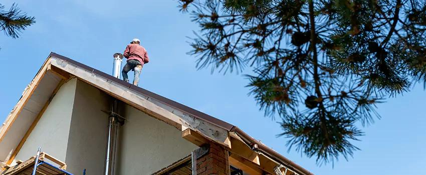 Birds Removal Contractors from Chimney in Winnipeg, MB