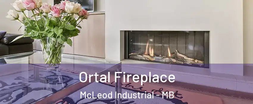 Ortal Fireplace McLeod Industrial - MB